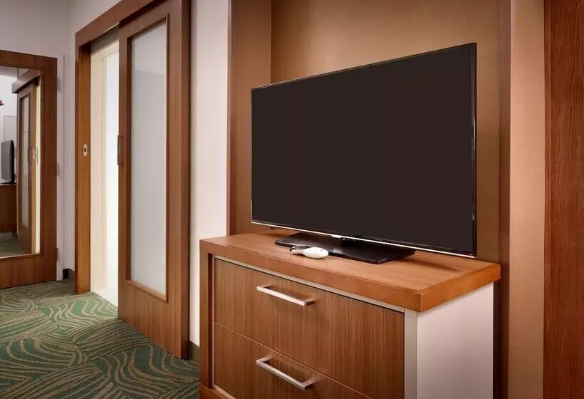 スタンダードスタジオ, Springhill Suites By Marriott Houston I 45 North