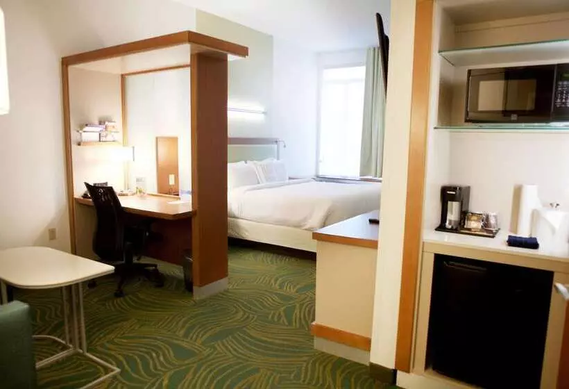 スイート, Springhill Suites By Marriott Wichita Airport