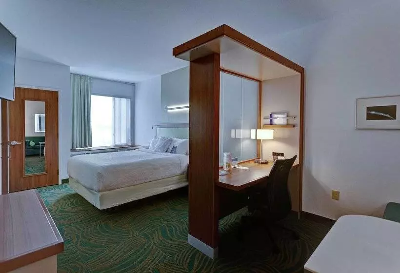 スイート, Springhill Suites By Marriott Wichita Airport