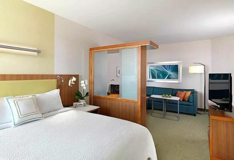 スイート, Springhill Suites By Marriott Wichita Airport