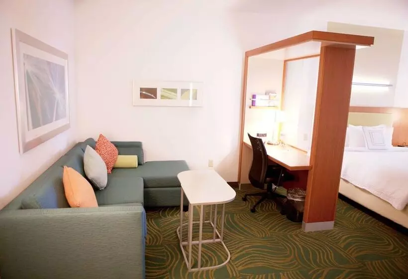 スイート, Springhill Suites By Marriott Wichita Airport