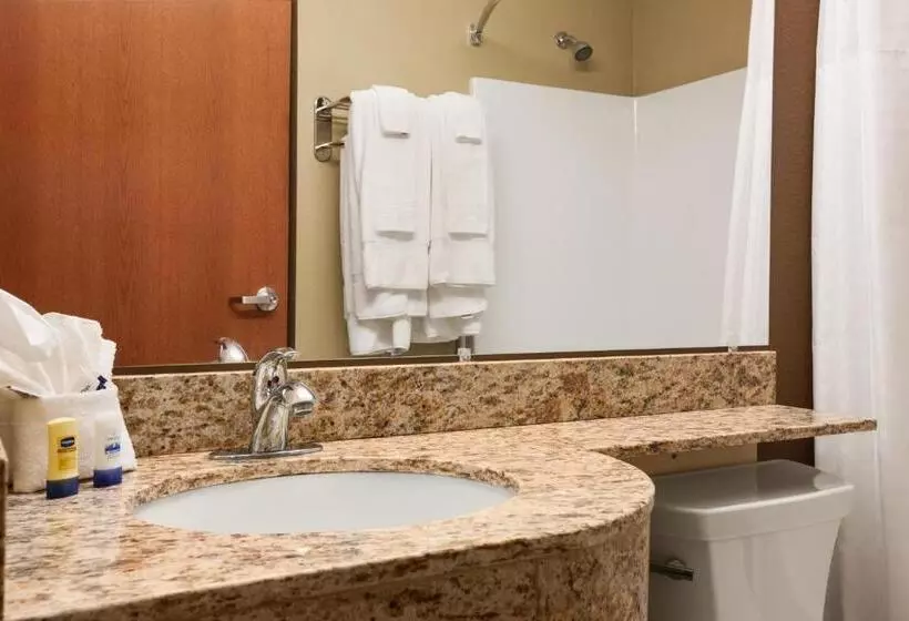 スイート, Microtel Inn & Suites By Wyndham Kenedy/karnes City