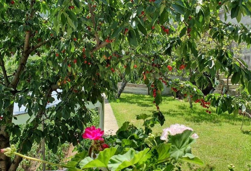 标准间, къща за гости солакови