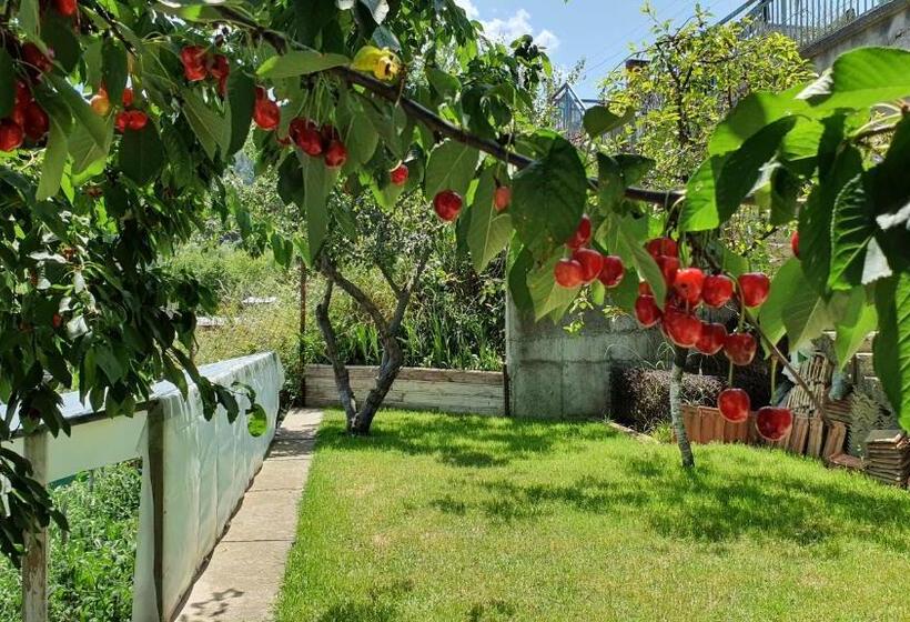 带3个卧室的公寓, къща за гости солакови