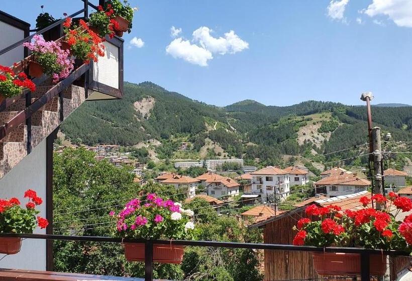 带3个卧室的公寓, къща за гости солакови