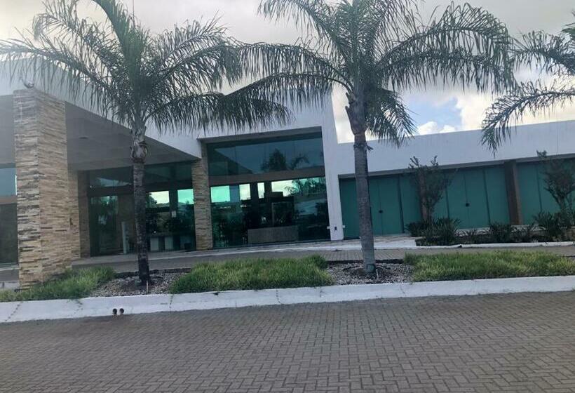 バルコニー付き１ベッドルームアパートメント, Iloa Residence L202