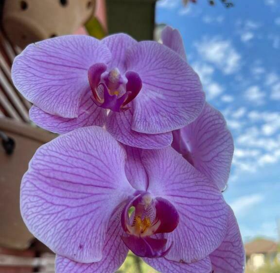 חדר סטנדרט, Pousada Cristhal Paraty