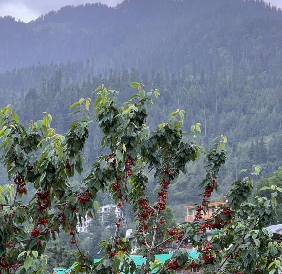 スタンダードトリプルルーム, Yolo Backpackers   Manali