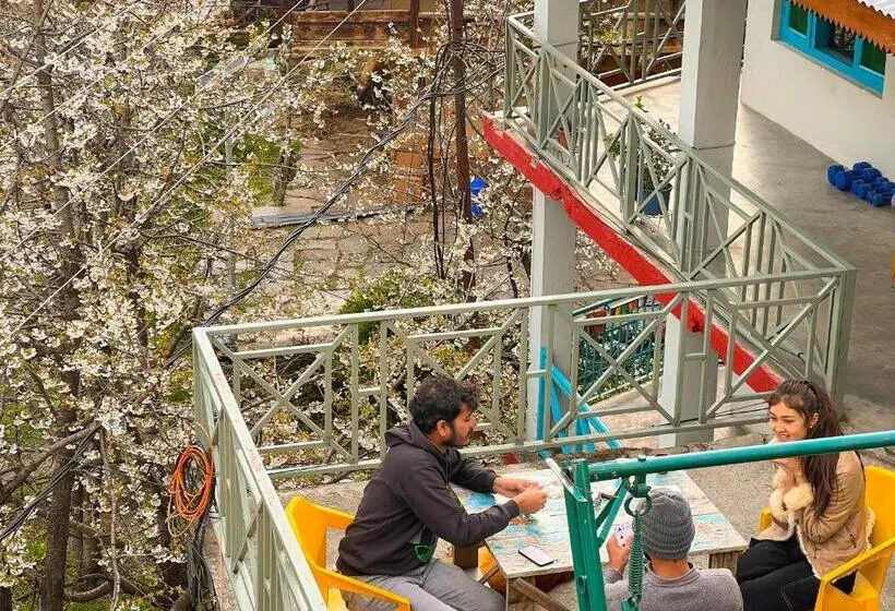 اتاق استاندارد با چشم‌انداز کوهستان, Yolo Backpackers   Manali