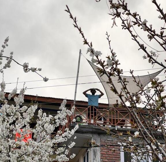 マウンテンビュースタンダードルーム, Yolo Backpackers   Manali