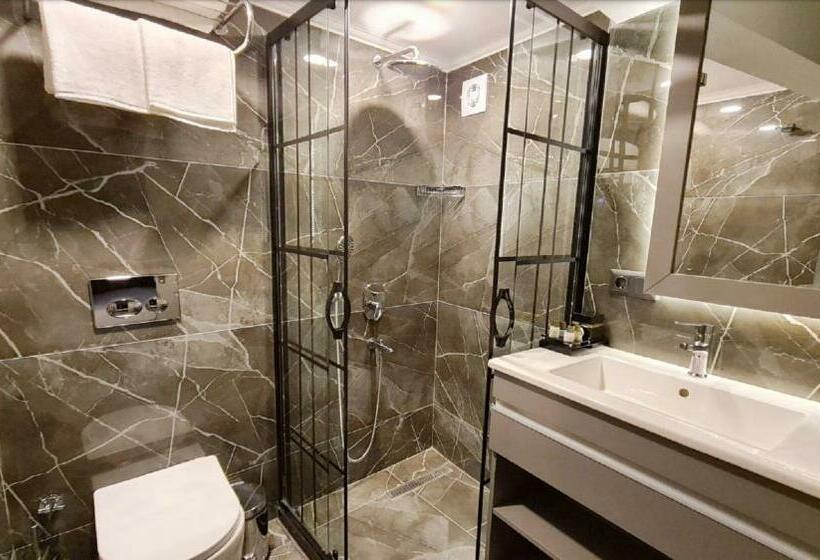 اتاق استاندارد, Dilens Bosphorus