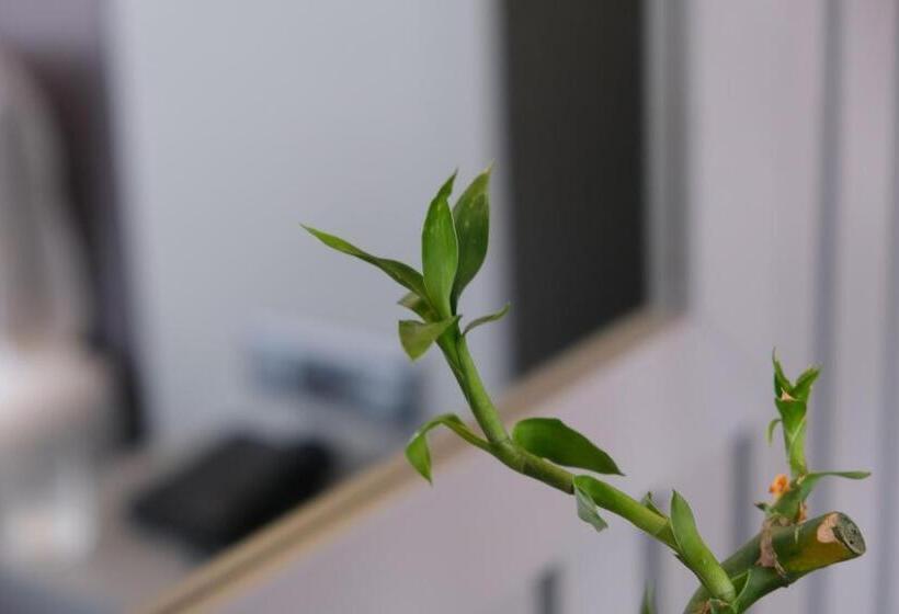 اتاق استاندارد سه نفره, Dilens Bosphorus