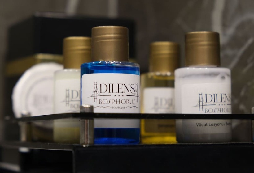اتاق لوکس, Dilens Bosphorus