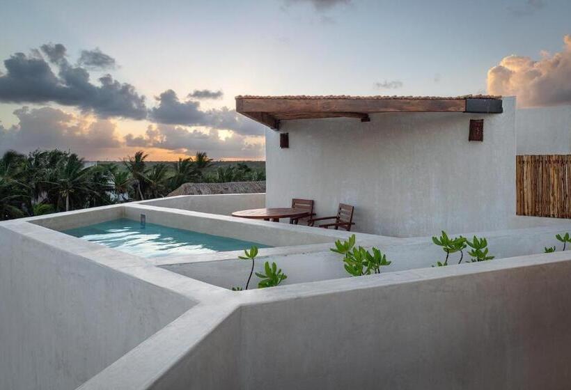 スイート, Nerea Tulum