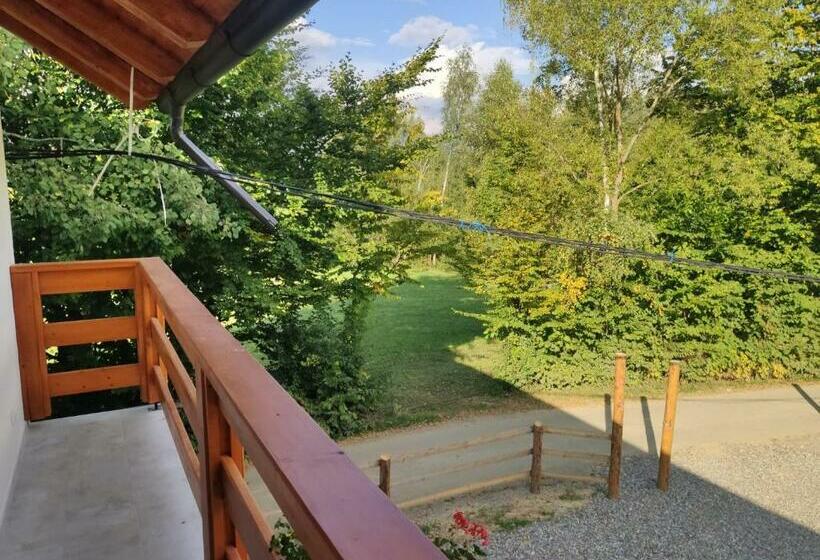 スタンダードルーム, Pensiunea Teodora