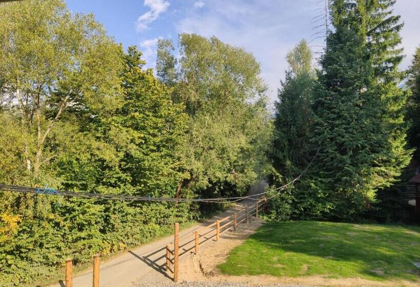 スタンダードルーム, Pensiunea Teodora