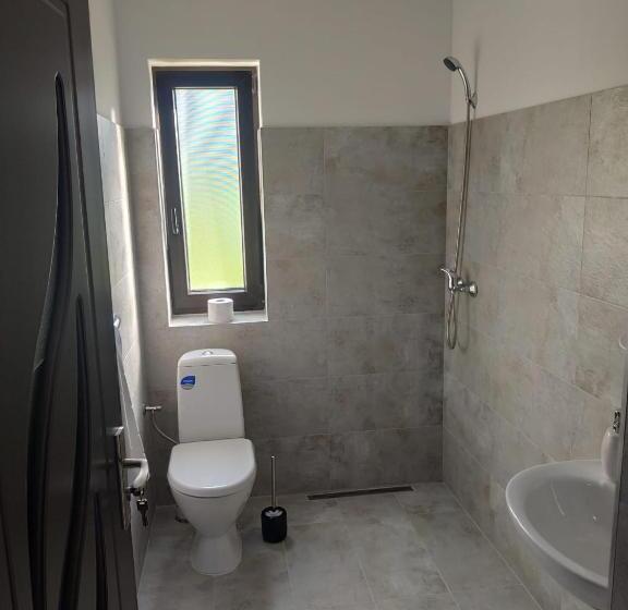 スタンダードルーム, Pensiunea Teodora