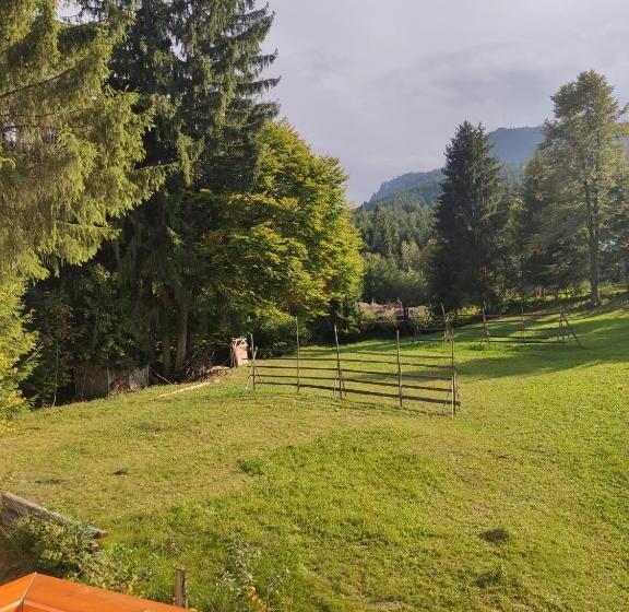 スタンダードルーム, Pensiunea Teodora