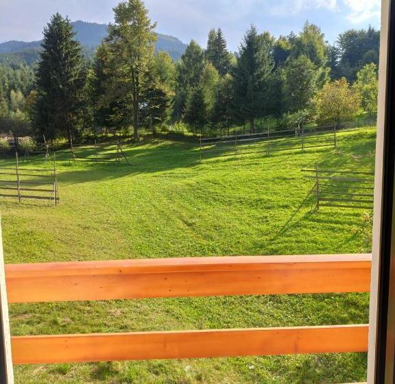 スタンダードルーム, Pensiunea Teodora