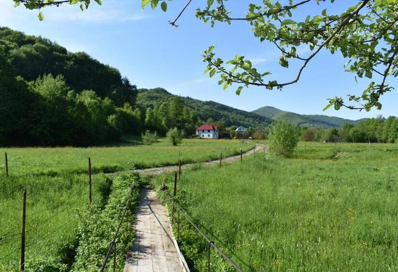 Balkonlu 4 kişilik Standart Oda, готель довбуш