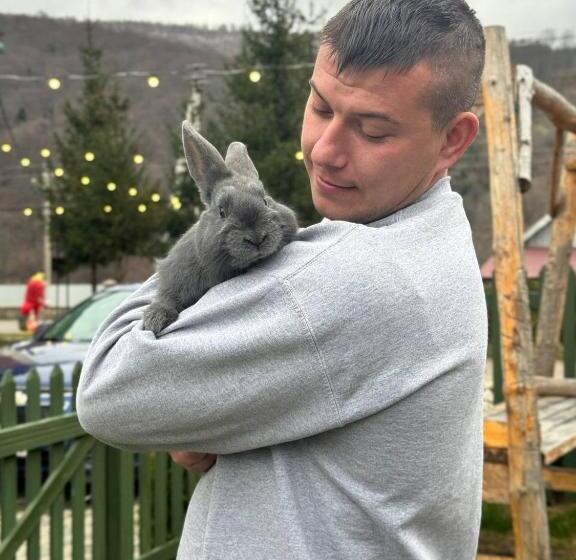 Dört Kişilik Standart Oda, готель довбуш