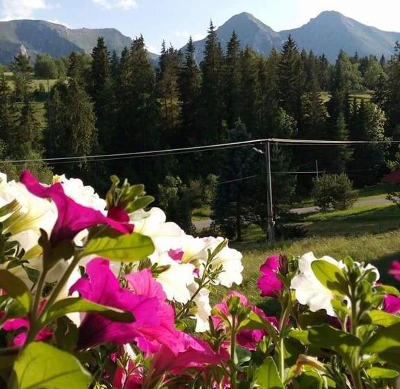 اتاق استاندارد چهار تخته, Penzión Blanka