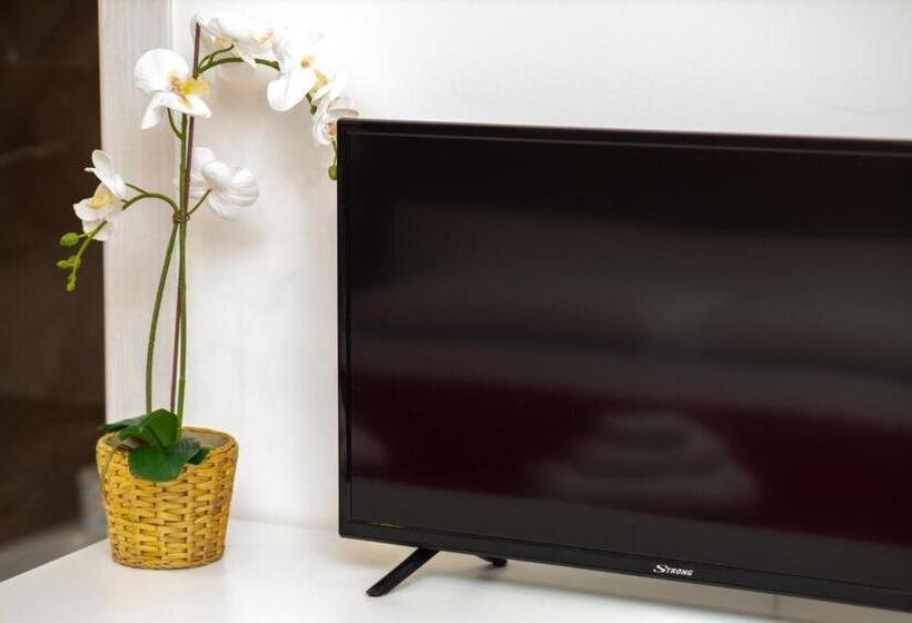 标准间, Suebi Rooms