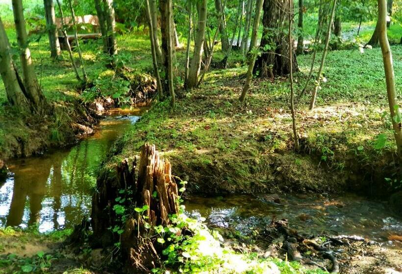 スタンダードルーム, Pensiunea Casa Noastra