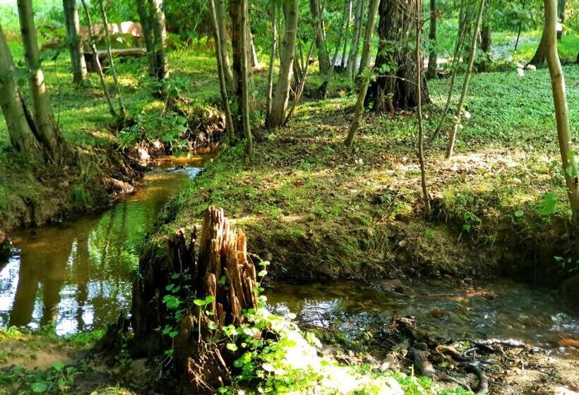 デラックスルーム, Pensiunea Casa Noastra