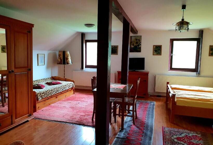 Номер Deluxe, Pensiunea Casa Noastra