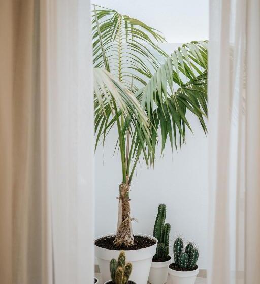 غرفة سوبيريور, Emblemático F24 Only Adults B&b