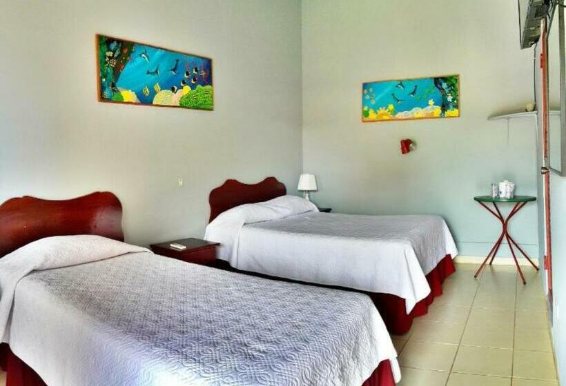 Номер Стандарт, Nahomi Divisamar By Lhr