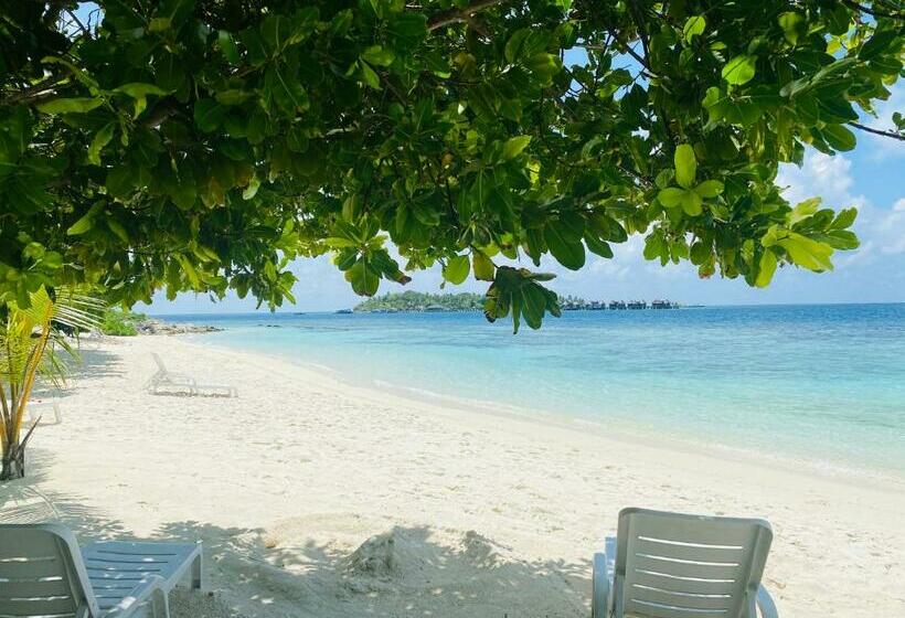 اتاق لوکس, Paguro Seaview