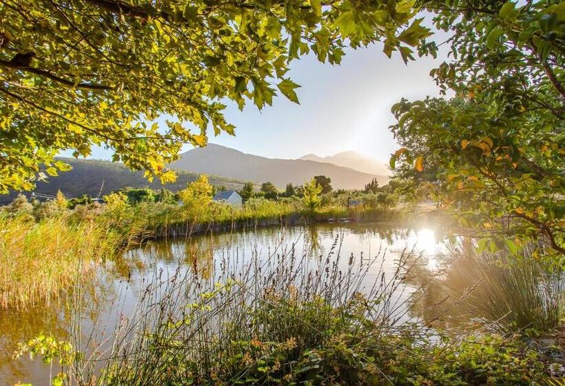 Family Suite, Droom Guesthouse