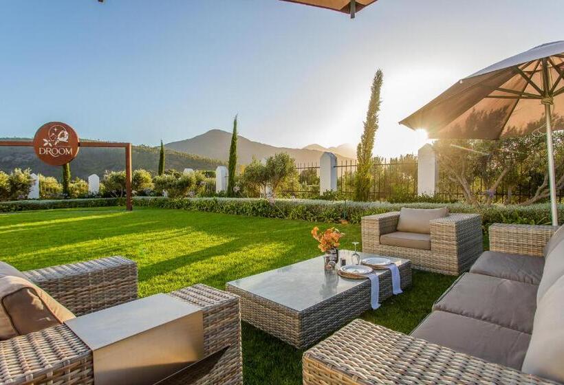 Люкс, Droom Guesthouse