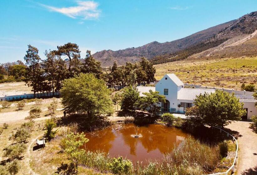 Family Suite, Droom Guesthouse