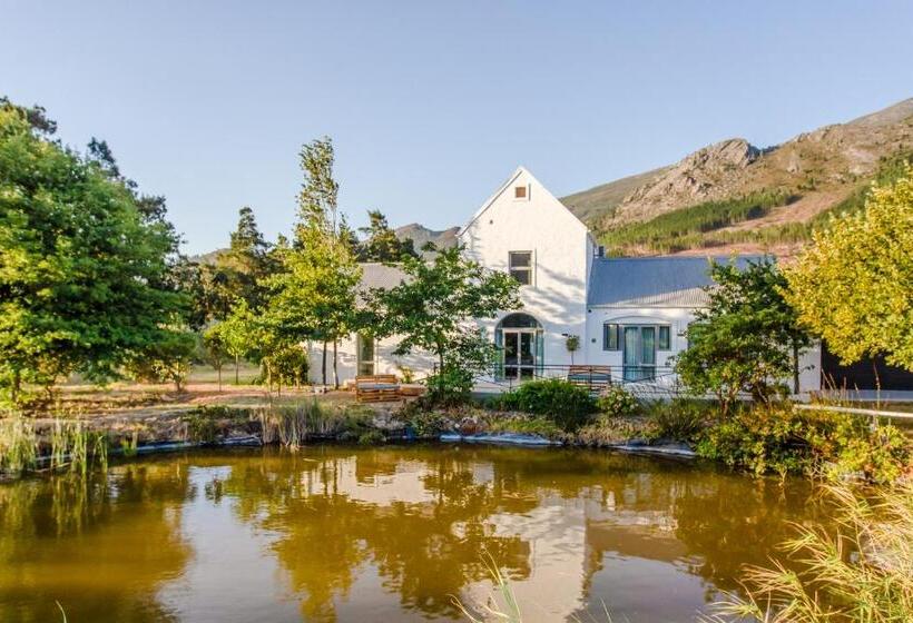 Family Suite, Droom Guesthouse