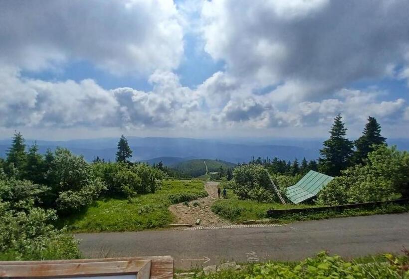 סוויטת 3 חדרי שינה, Chata U Dědka