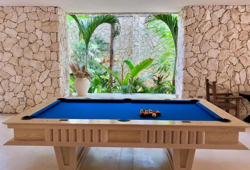 استودیوی سوپریور, Nãmas Tulum