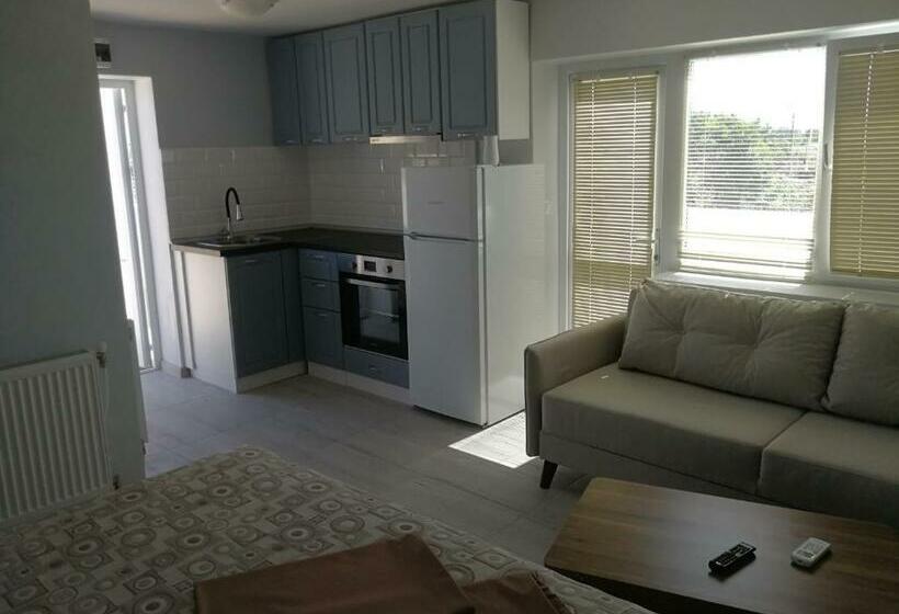 带大床的标准工作室, вила христови