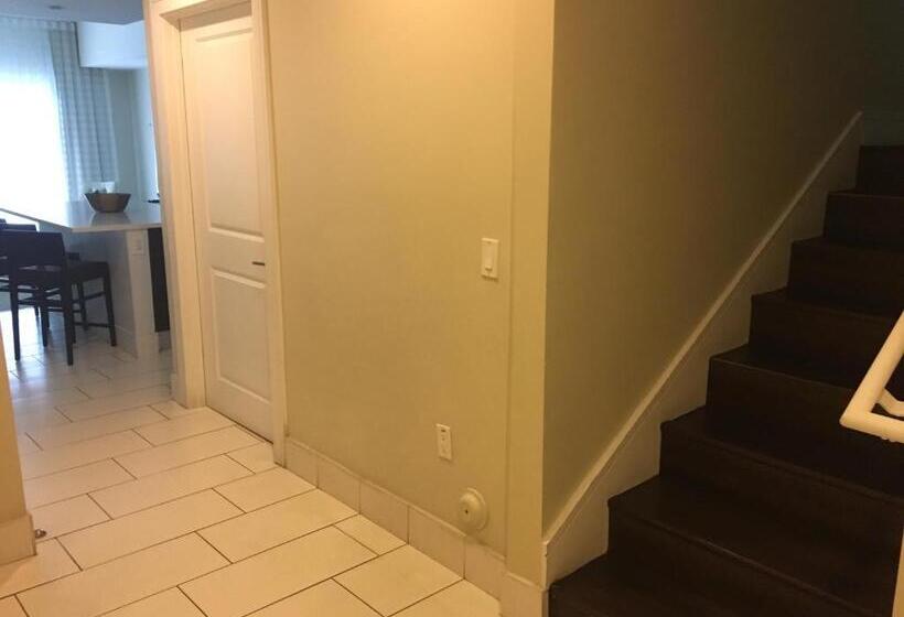 דירת שלושה חדרים, Doral 2 Story Villa 3 Bed 4 Bath At Provident Doral At The Blue Miami