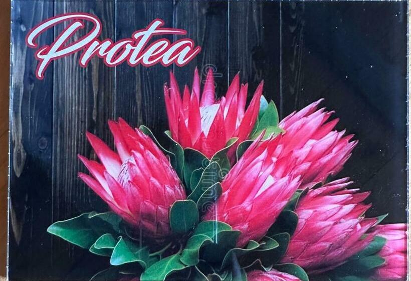 Номер Deluxe, Falling Waters