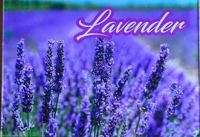 Номер Deluxe, Falling Waters