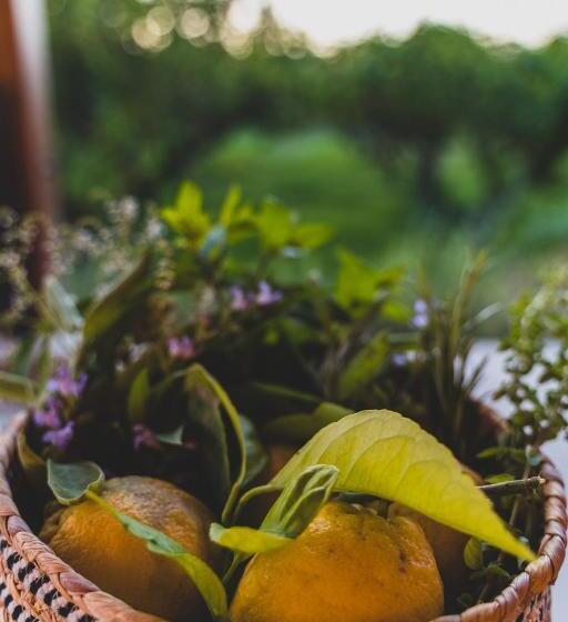 スタンダードルーム, Il Limoneto Rooms