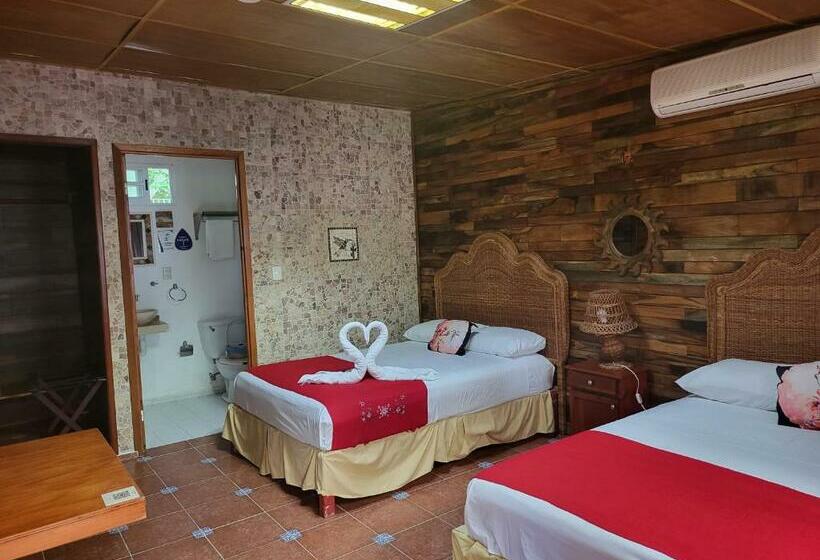 スタンダードルーム, Cabañas Colibrí