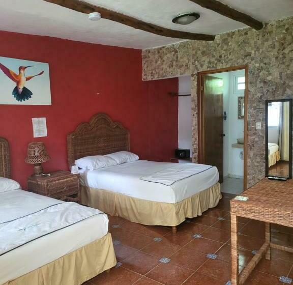 スタンダードルーム, Cabañas Colibrí