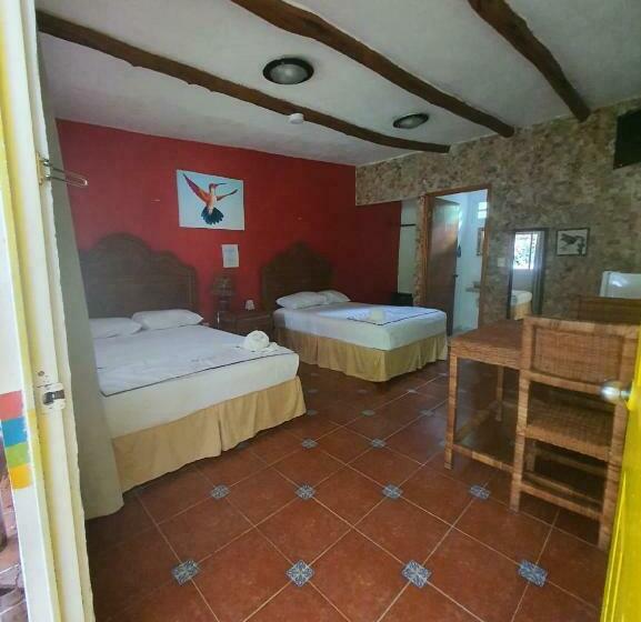 スタンダードルーム, Cabañas Colibrí