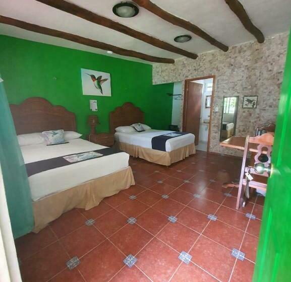 スタンダードルーム, Cabañas Colibrí