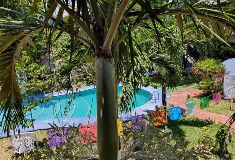 １ベッドルームハウス, Cabañas Colibrí