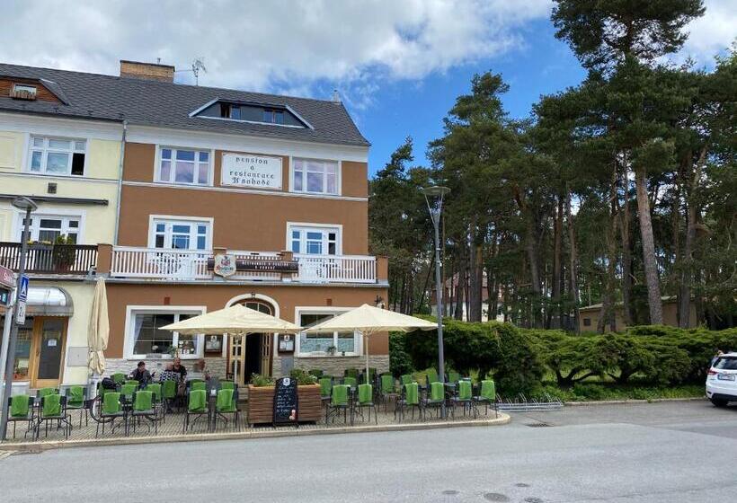 חדר סטנדרט יחיד, Pension V Pohodě